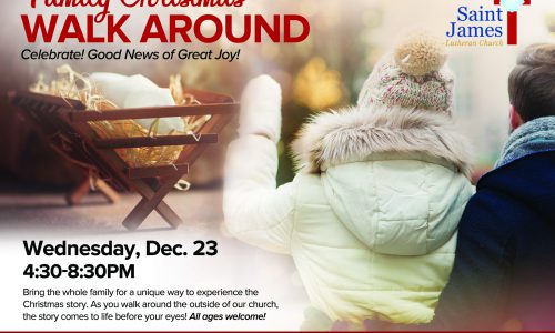 Family Christmas Walk Around – December 23rd, 2020